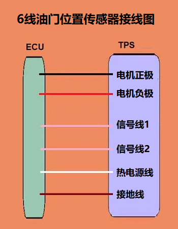 6线节气门位置传感器接线图和电缆操作的接线图有什么不同？