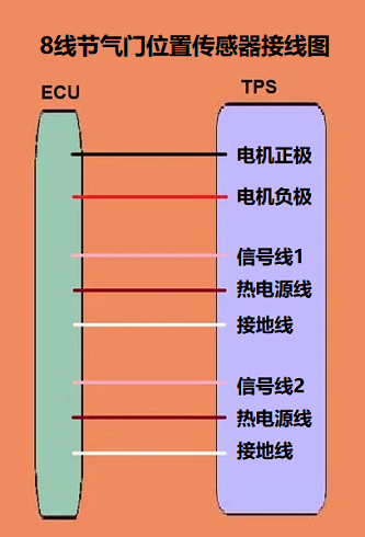 一个8线节气门位置传感器接线图包含电机和电位器